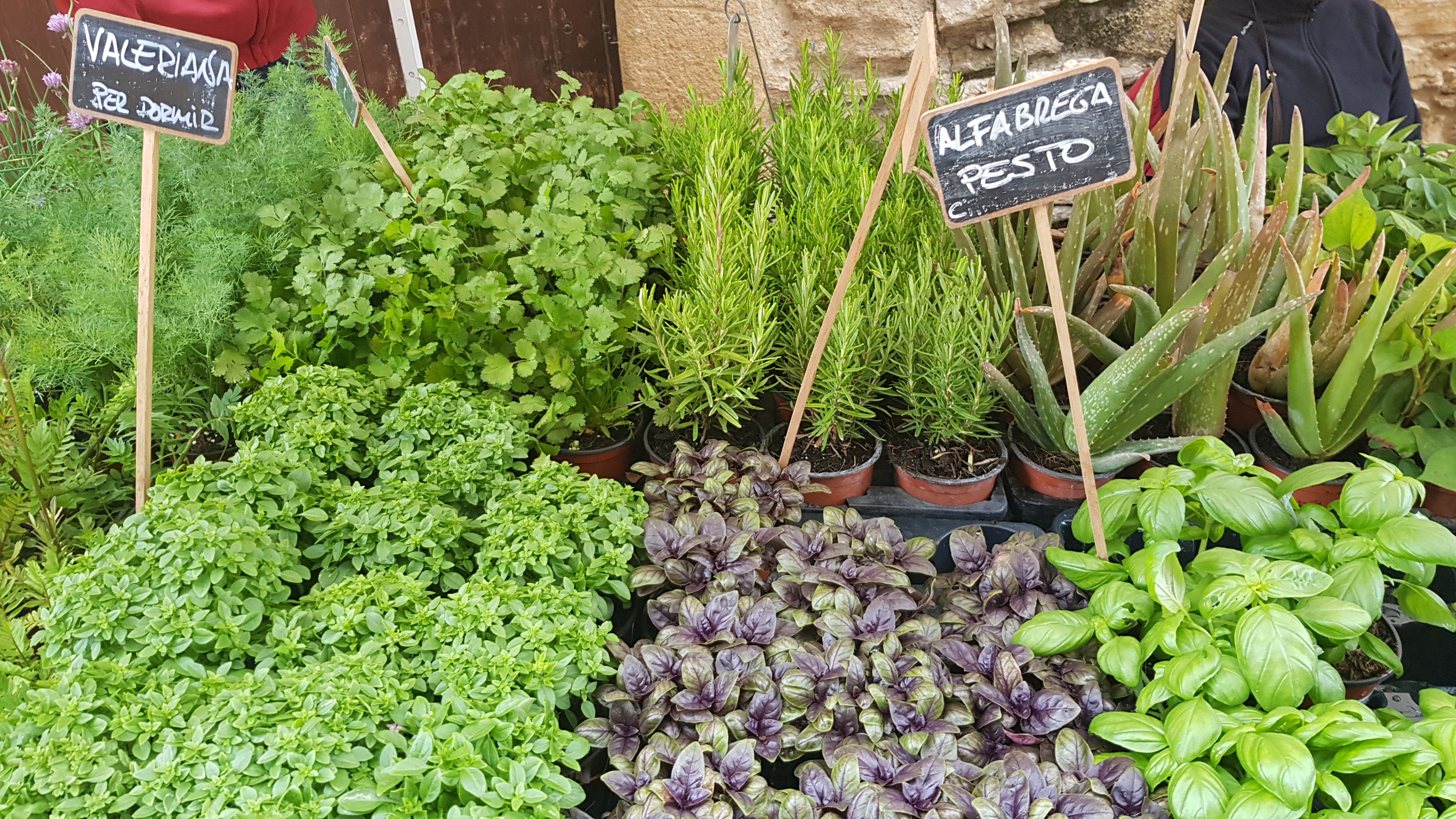 Peratallada herbs fair