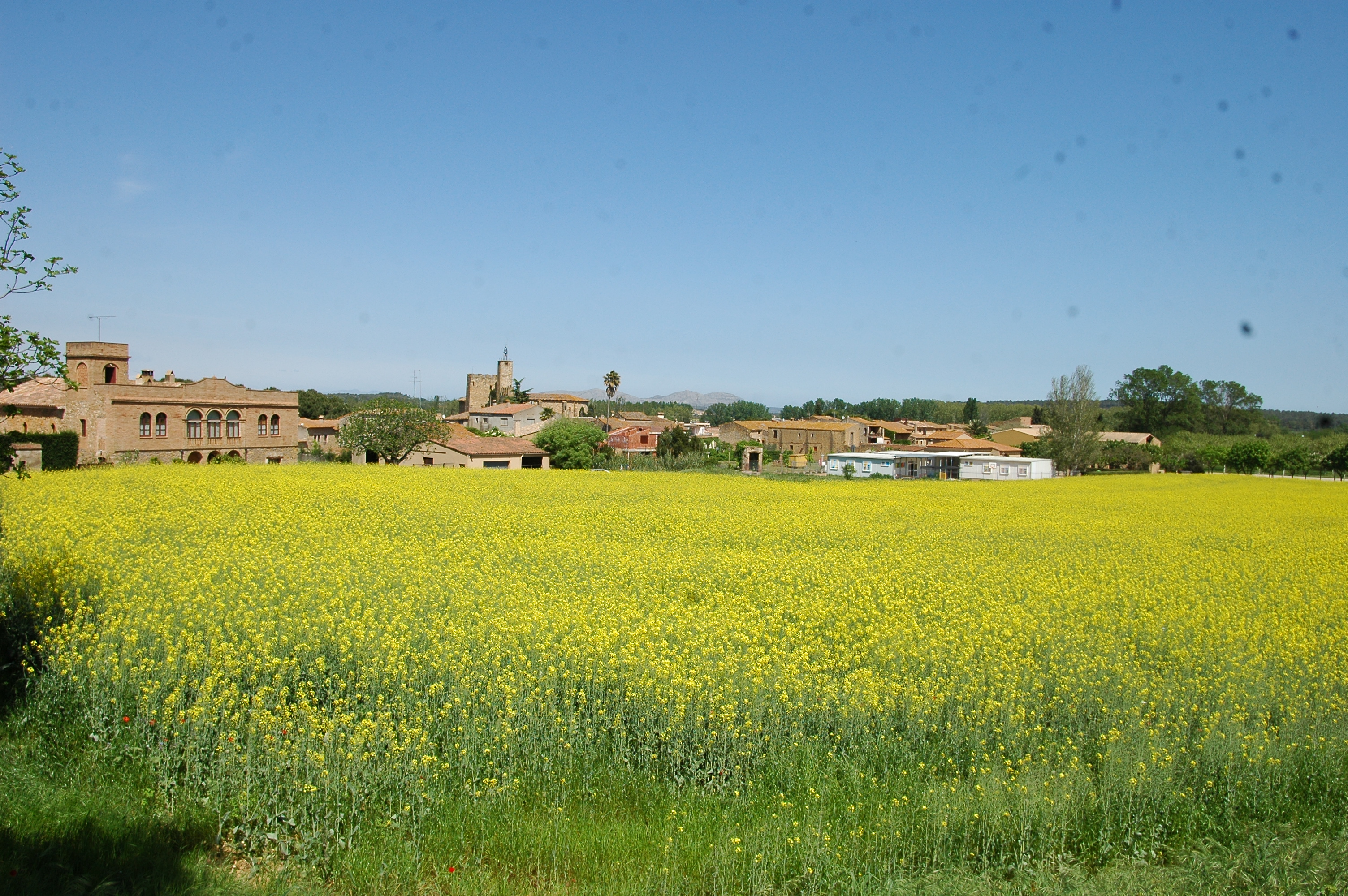 Vulpellac