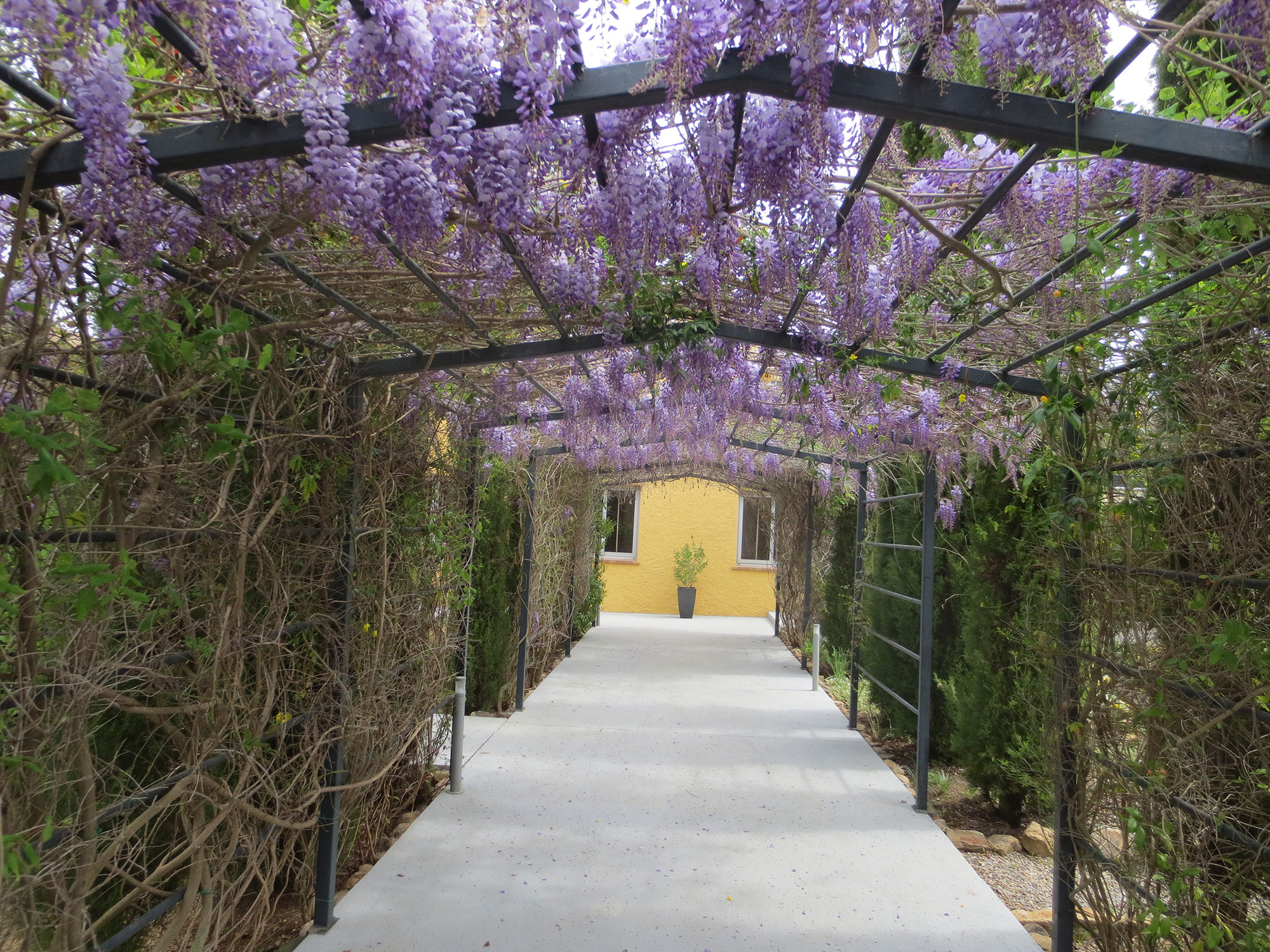 Hotel Aatu - entrada d'accés
