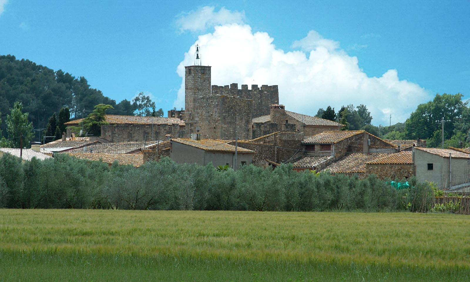 Vulpellac