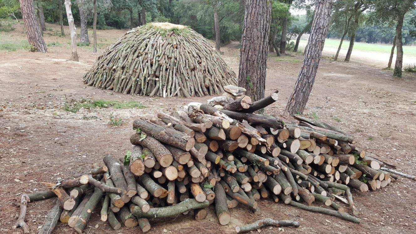 La Carbonera